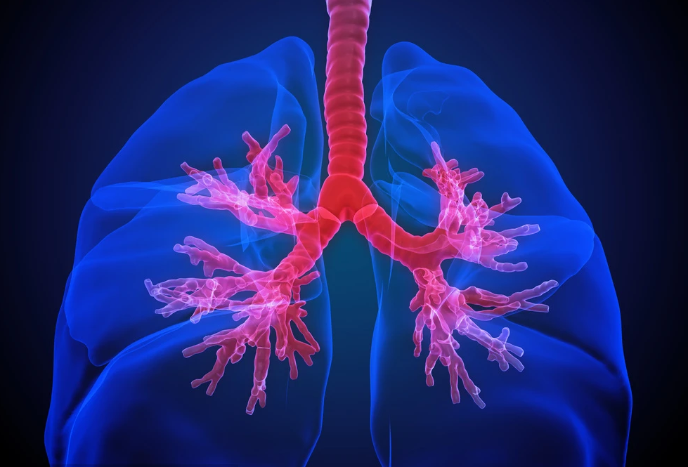 呼吸科医生：比吸烟还“糟蹋”肺的5种食物，大多数人还摆脱不了